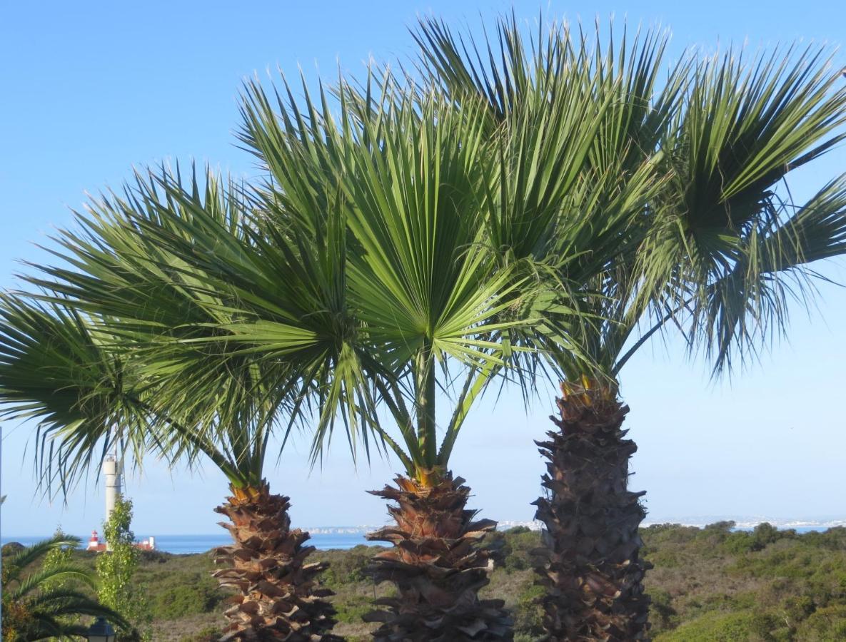 Three Palms Apartment Ferragudo  Luaran gambar